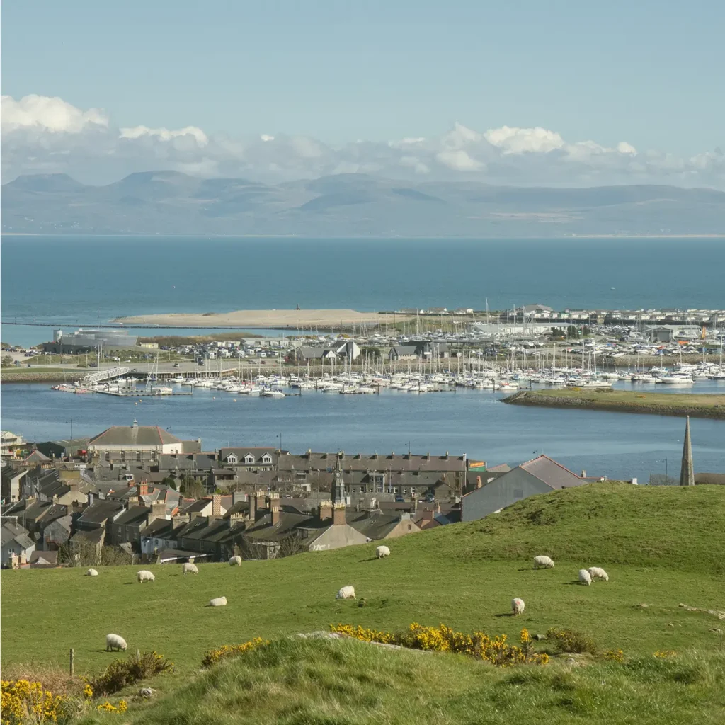 local attractions gimblet 1