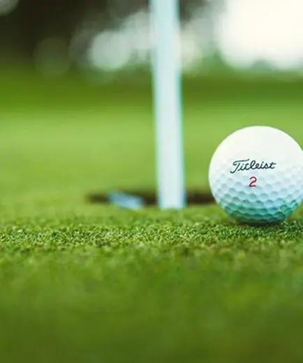 silver birch golf club