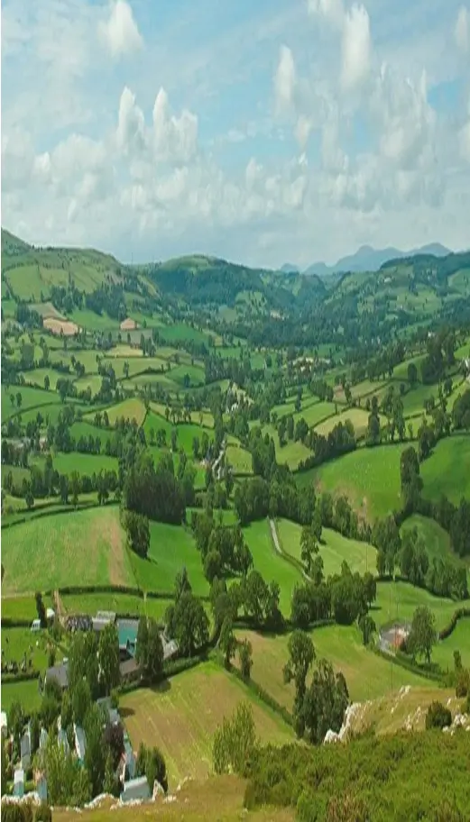 Tan Rallt Holiday Park & Spa Logo