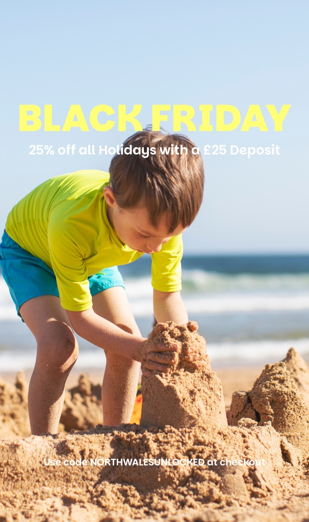 BLACK FRIDAY POP UP (DESKTOP)