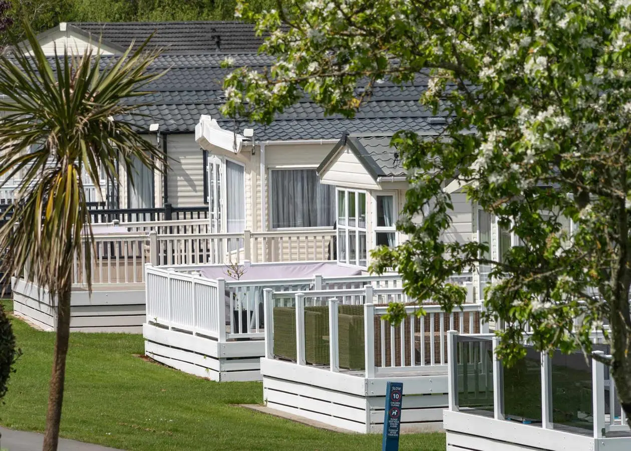 crugan caravans among trees